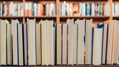 政府行為是不可抗力還是情勢變更？