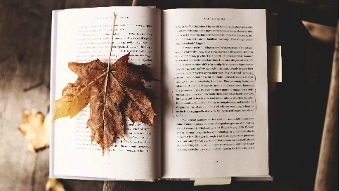 影視劇委托方單方“墊付制作費”，能否從制作方的制作費中扣除？