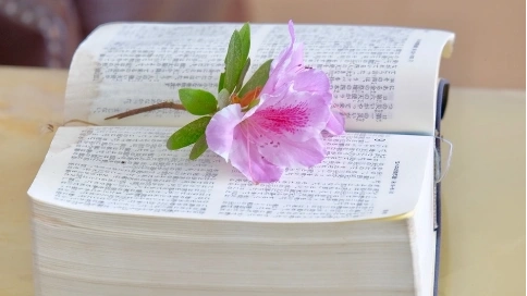 影片特效超時(shí)工作量應(yīng)如何計(jì)算？