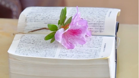 哪類合同名為合作拍攝實(shí)為承制關(guān)系？