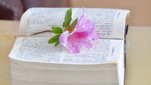 影片遲延一年開(kāi)機(jī)，當(dāng)事人為何無(wú)權(quán)解除合同？