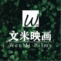 文米映畫-天津·中國人壽金融中心形象宣傳片