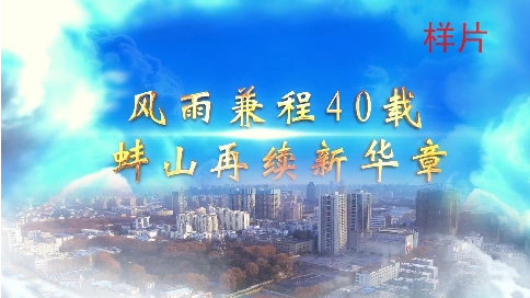 蚌埠市蚌山区2019政务宣传片