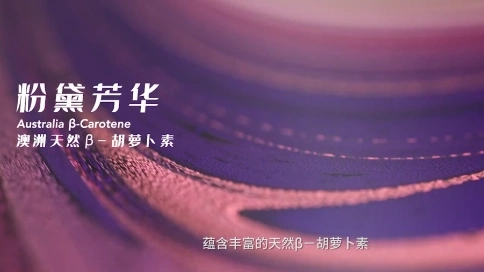 湯臣倍健《尋覓自然的藝術(shù)》