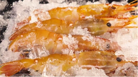 美食 海鮮壽司