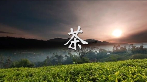 茶-48秒宣傳剪輯