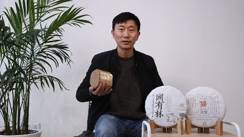 我太難了，一千塊一片的古樹茶被朋友說是小樹茶