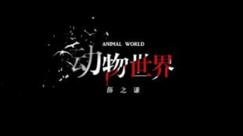 薛之谦《动物世界》