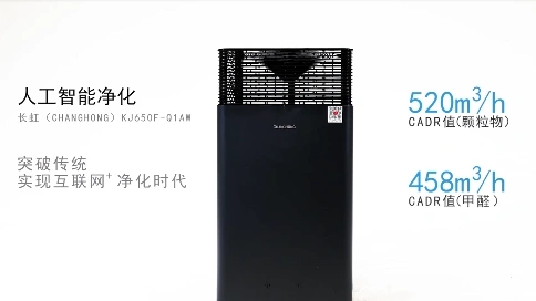 長(zhǎng)虹凈化器650
