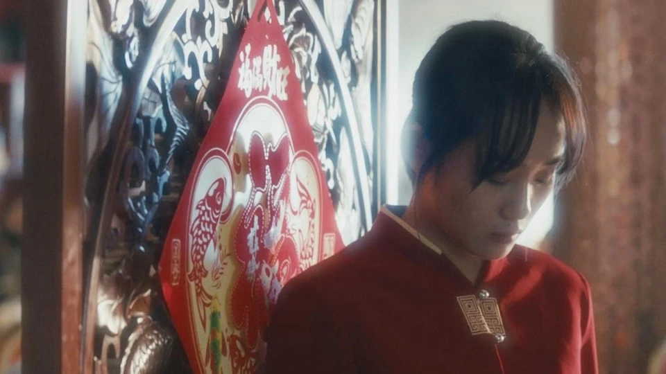 为什么背井离乡