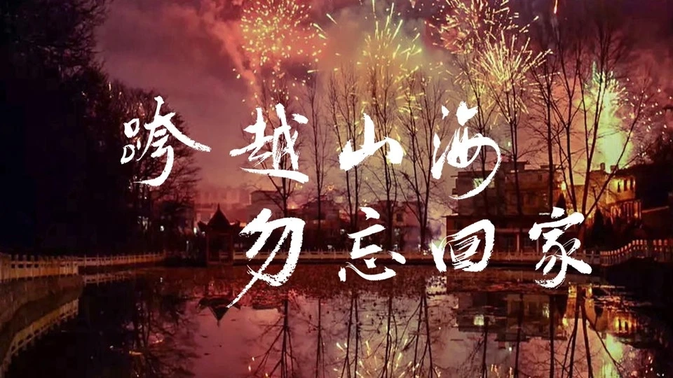 【春节混剪】跨越山海勿忘回家