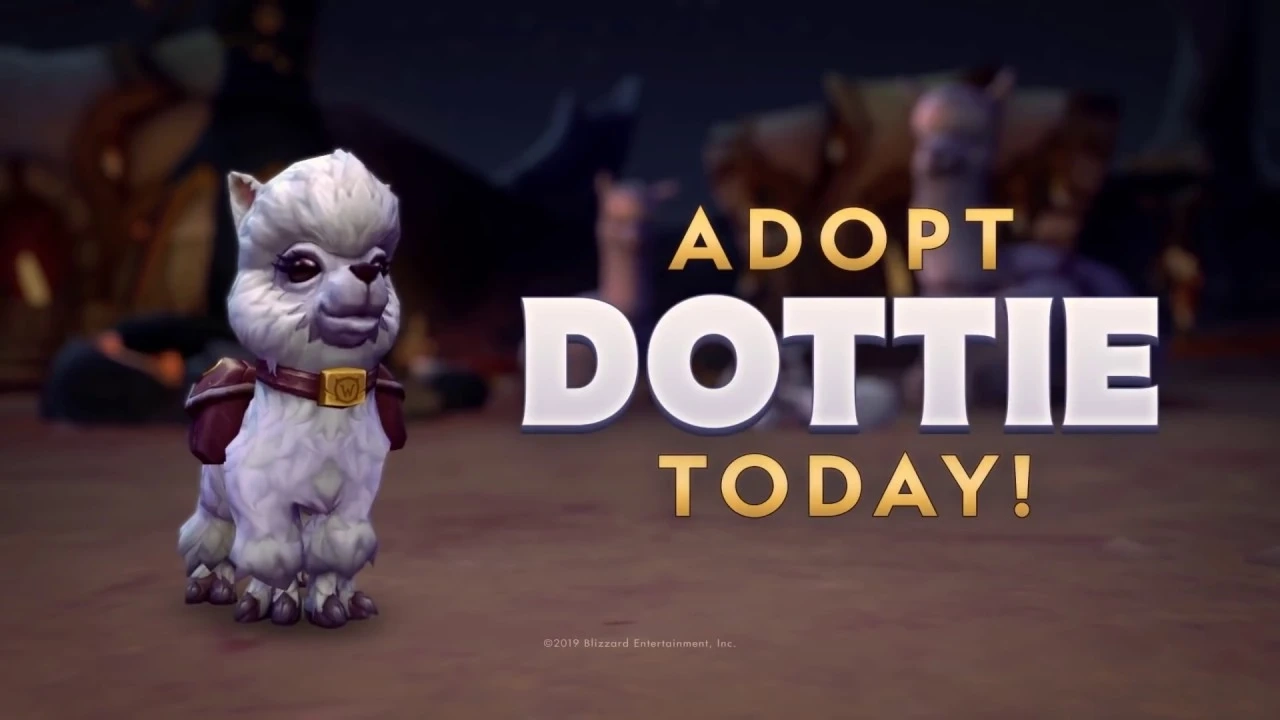 Adopt Dottie