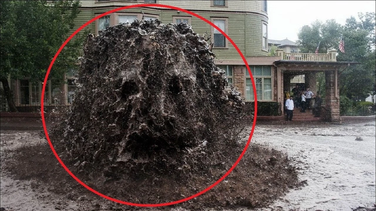 5 UNEXPLAINED CREATURES Caught On Camera