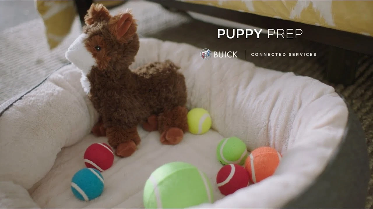 Puppy Prep | Connected Services | Buick