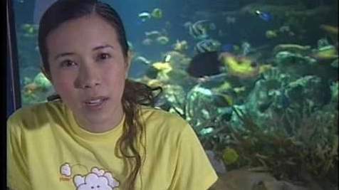 WildAid PSA - Karen Mok