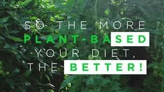 What can I do? Eat More Plants
