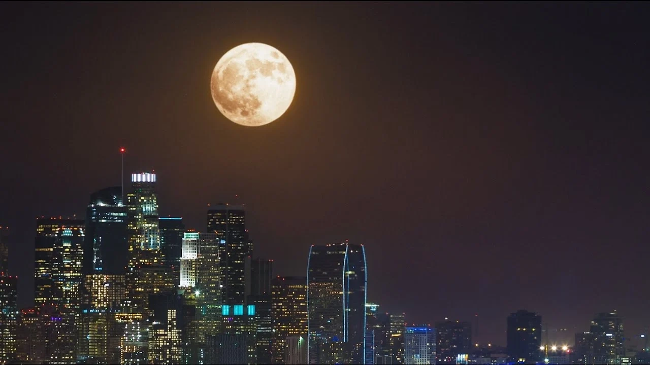 Google — Year In Search 2016