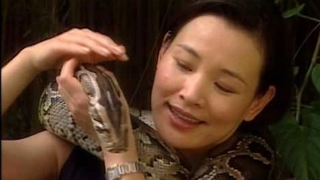 WildAid PSA - Joan Chen