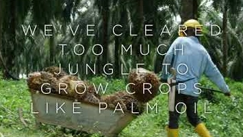 Demand Sustainable Palm Oil