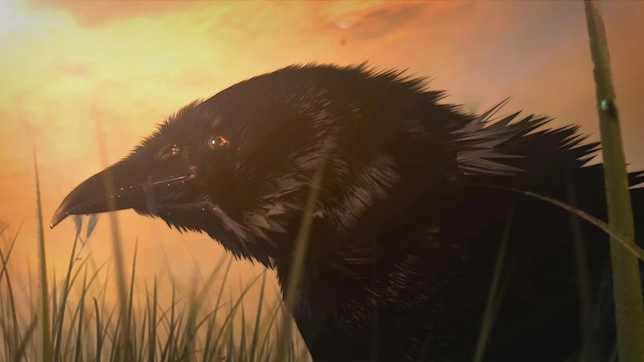 《魔獸爭霸III》開頭動畫