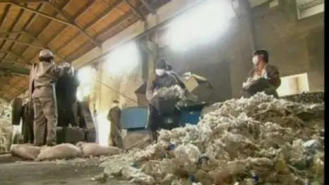 How Plastic Bottles Are Recycled Into Polyester