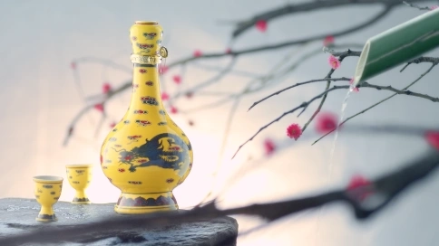 順鑫控股廣告-夢(mèng)想篇