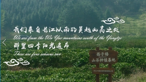山茶花原料篇