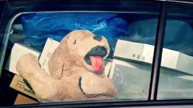 IKEA 2018 絕版品出清【狗狗篇】