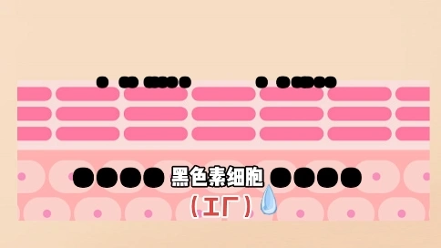 知識(shí)小短片