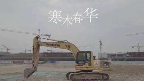 《寒木春花》