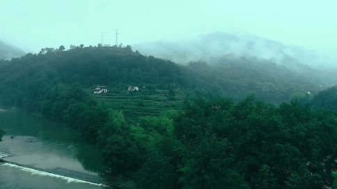 纯天源野生绞股蓝茶宣传片