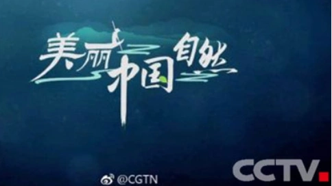 助力飛翔--人物紀錄片--央視4K超高清頻道