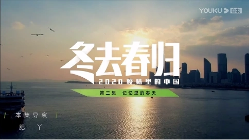 冬去春歸·2020疫情里的中國(guó)