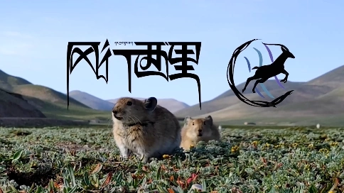 【北林山諾會】風(fēng)行西里|2019暑期社會實踐回顧