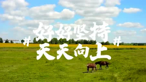 中国无人机影像大赛创意视频