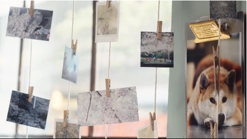 《樱花镜面水晶冻蛋糕》-日食记