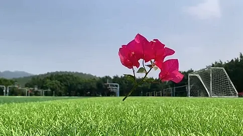 毛概作業(yè)之改革開(kāi)放情景劇——我的名字