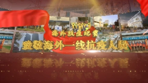 海外抗疫紀實