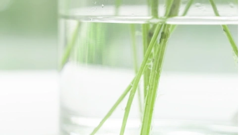 生活記錄片
