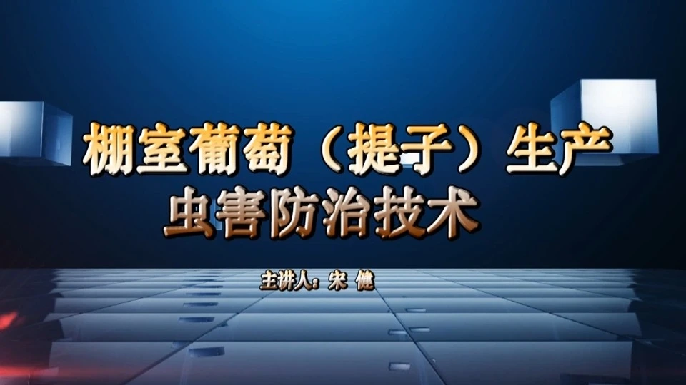 大同区：棚室葡萄（提子）生产虫害防治技术