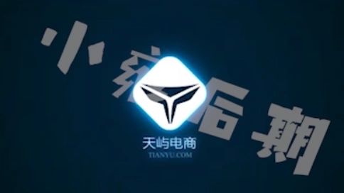 企業(yè)快閃宣傳