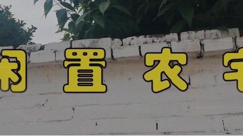 一直有一個田園夢，成都農村小院盤點