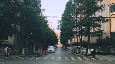 期待已久的夏天