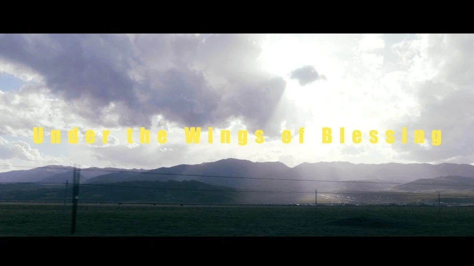 在祝福的翅膀下