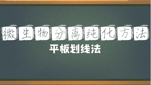 MG | 課程資源設(shè)計(jì)MG動畫