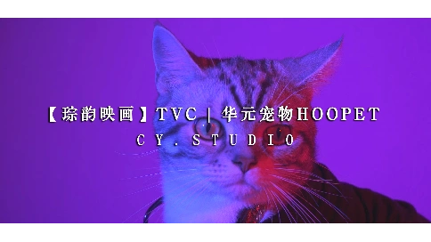 【琮韵映画】TVC | 华元宠物HOOPET X Garfield联名