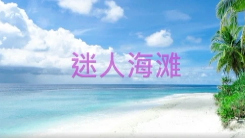 迷人海灘放飛心情