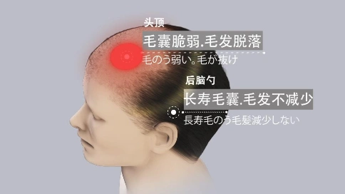 日本HAIR TONIC生发液 三维动画制作