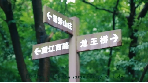 半日行vlog