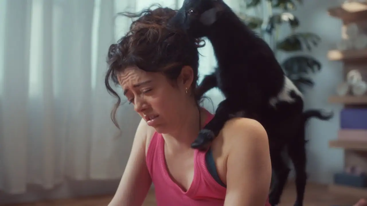 Jack in the Box - 'JOMO: 山羊瑜伽"